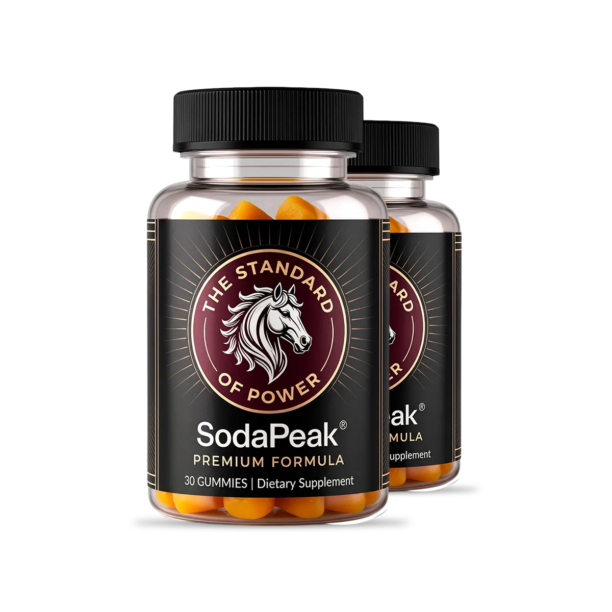 SodaPeak 2 Bottles