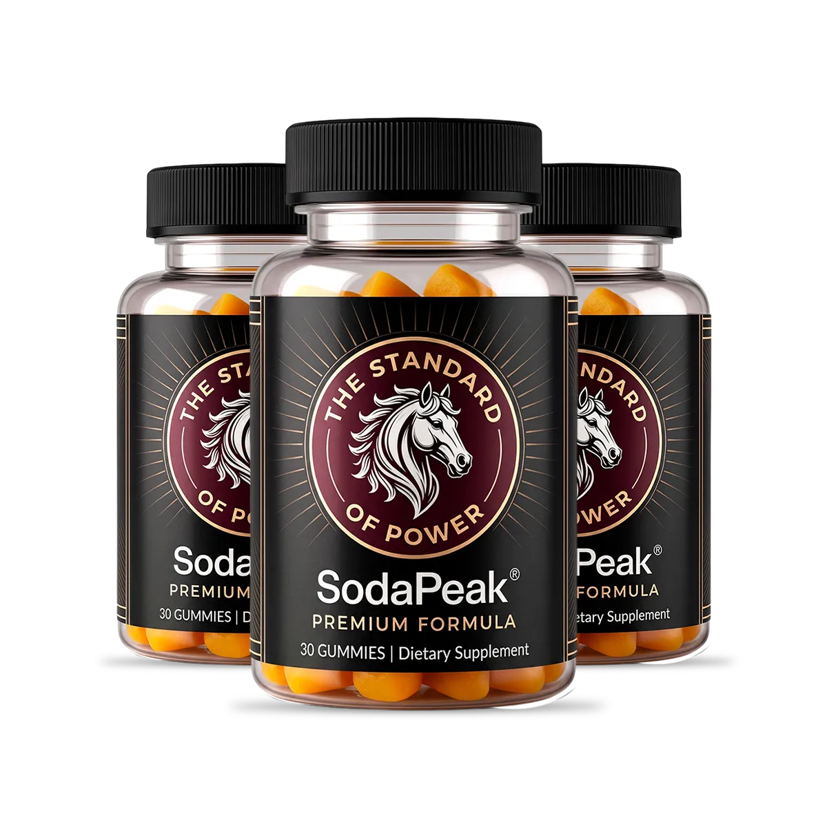 SodaPeak 3 Bottles